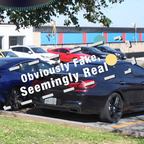 Obviously Fake, Seemingly Real