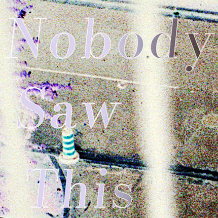 Nobody Saw This